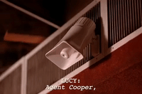 season 1 GIF by Twin Peaks on Showtime