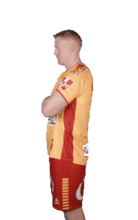 Celebration Handball Sticker by GOG Sport