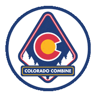Colorado Avalanche Sticker by Colorado Amateur Hockey Association