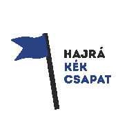 Blueteam Sticker by Budapest Airport