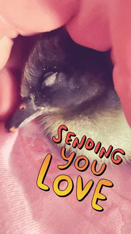Baby Love GIF