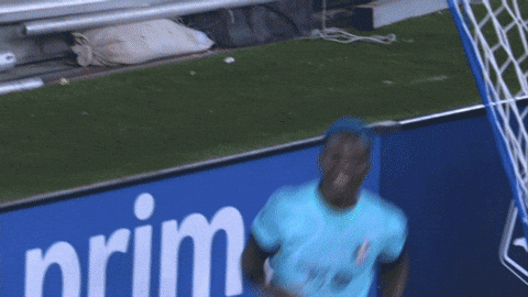 Goalcelebration GIF by National Women's Soccer League