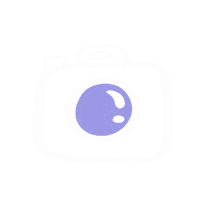 Animal Crossing Photo Sticker