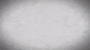 barret benson GIF by Northwestern Athletics