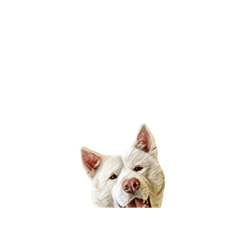 Belluccifriends Sticker by Bellucci Manila