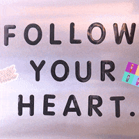 Heart Follow GIF by Rise Kombucha