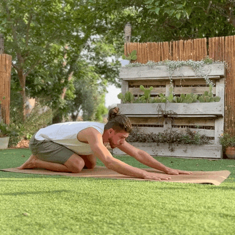 Idan_K giphyupload GIF