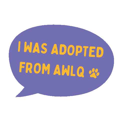 awlqld giphyupload adopt dont shop awl adopted dog Sticker