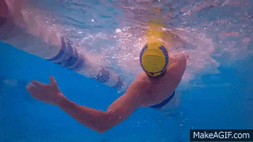 skillsnt giphyupload GIF