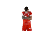 Look Up Sticker by FC Bayern Munich