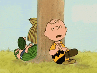 Charlie Brown Cartoon GIF by Peanuts