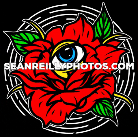 seanreillyphotos giphygifmaker rose eye photographer GIF