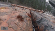 GIF by Discovery