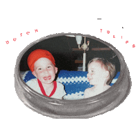 dutchtulips petri dish baby picture double visions dutch tulips Sticker