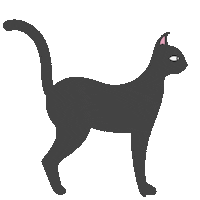 Black Cat Sticker by Denyse®