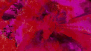 glitch processing GIF by Death Orgone