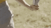 season 4 holding hands GIF by Transparent