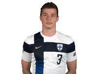 Euro Cup Football Sticker by Huuhkajat