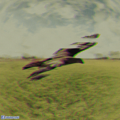 glitch distort GIF by Psyklon