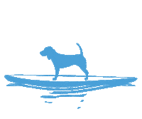 Stand Up Paddle Sup Sticker by Austin Subaru