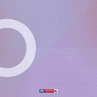Football Goal GIF by skysports