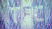 ligue 1 soccer GIF by Toulouse Football Club