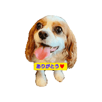 Smile Sticker