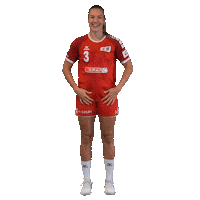 Schweiz Sticker by Swiss Handball