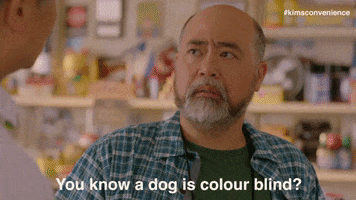 cant see black and white GIF by Kim's Convenience