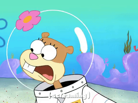 season 4 episode 10 GIF by SpongeBob SquarePants