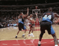 chicago bulls GIF