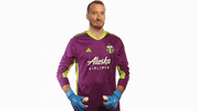 Portland Timbers GIF by Timbers