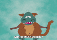 GIF by South Park 