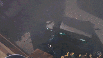 Slide Jett GIF by Xbox