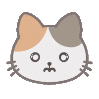 Sad Cat Sticker by Demic