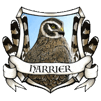 boisestatehonors harrier harrier house Sticker