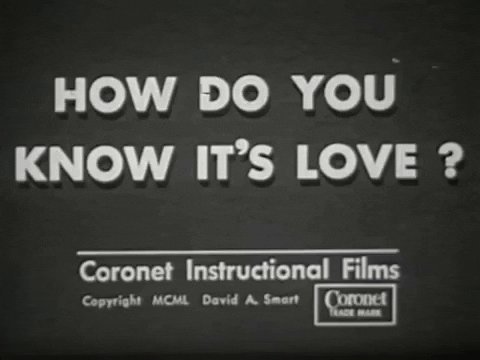 scottok giphygifmaker educational film how do you know its love GIF