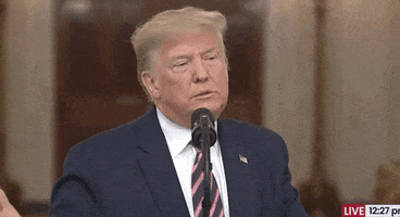 President Trump Impeachment GIF by GIPHY News