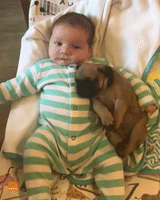 Cute Baby Shares Special Moment With His Pug Pal