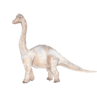 Dinosaur Sticker by Little Rae Prints