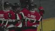 goal happy dance GIF by Ottawa 67's