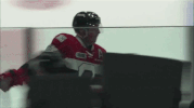 goal yes GIF by Ottawa 67's