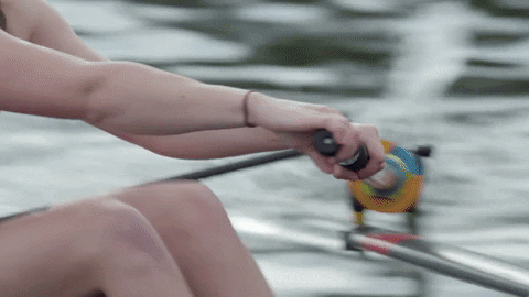 Rowing GIF by Colgate Athletics