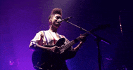 lianne la havas GIF by Webster Hall