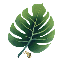 Flower Weed Sticker by There are stories longing to be told...
