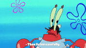 Season 9 GIF by SpongeBob SquarePants