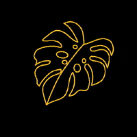 Monstera GIF by communikea