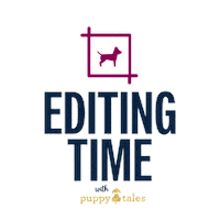 Love Dogs Photography Sticker by puppytales