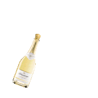 SchlumbergerSekt celebration cheers happy new year new year Sticker