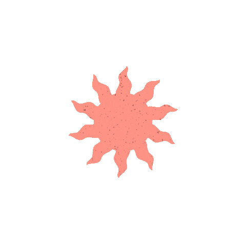 inephan giphyupload kpop sun moon Sticker